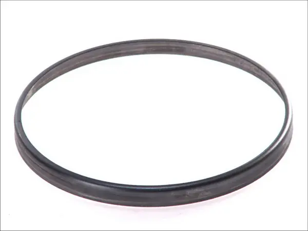 Кільце захисне маточини осі BPW ECO, ø151×ø160×12,5 мм, BPW 0256836300