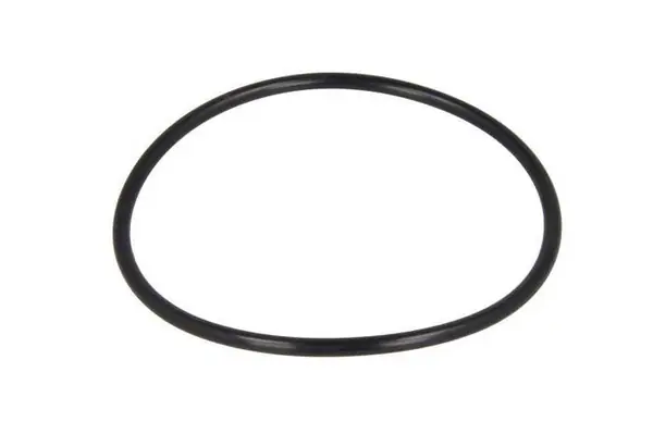 Кільце ущільнювальне (O-ring) маточини колеса DAF ø111×ø121×5 мм, 1398725 / 106.207-30